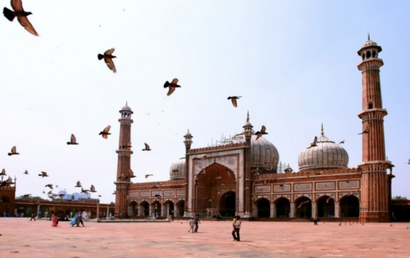 Découverte de la vie sauvage au Rajasthan